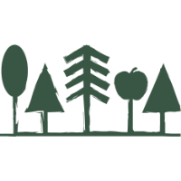 baumStamm logo grün